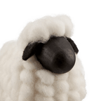 Decorative Sheep