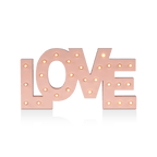 Love Letter Sign with LED Lights