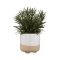 Artificial Plant in Ceramic Pot
