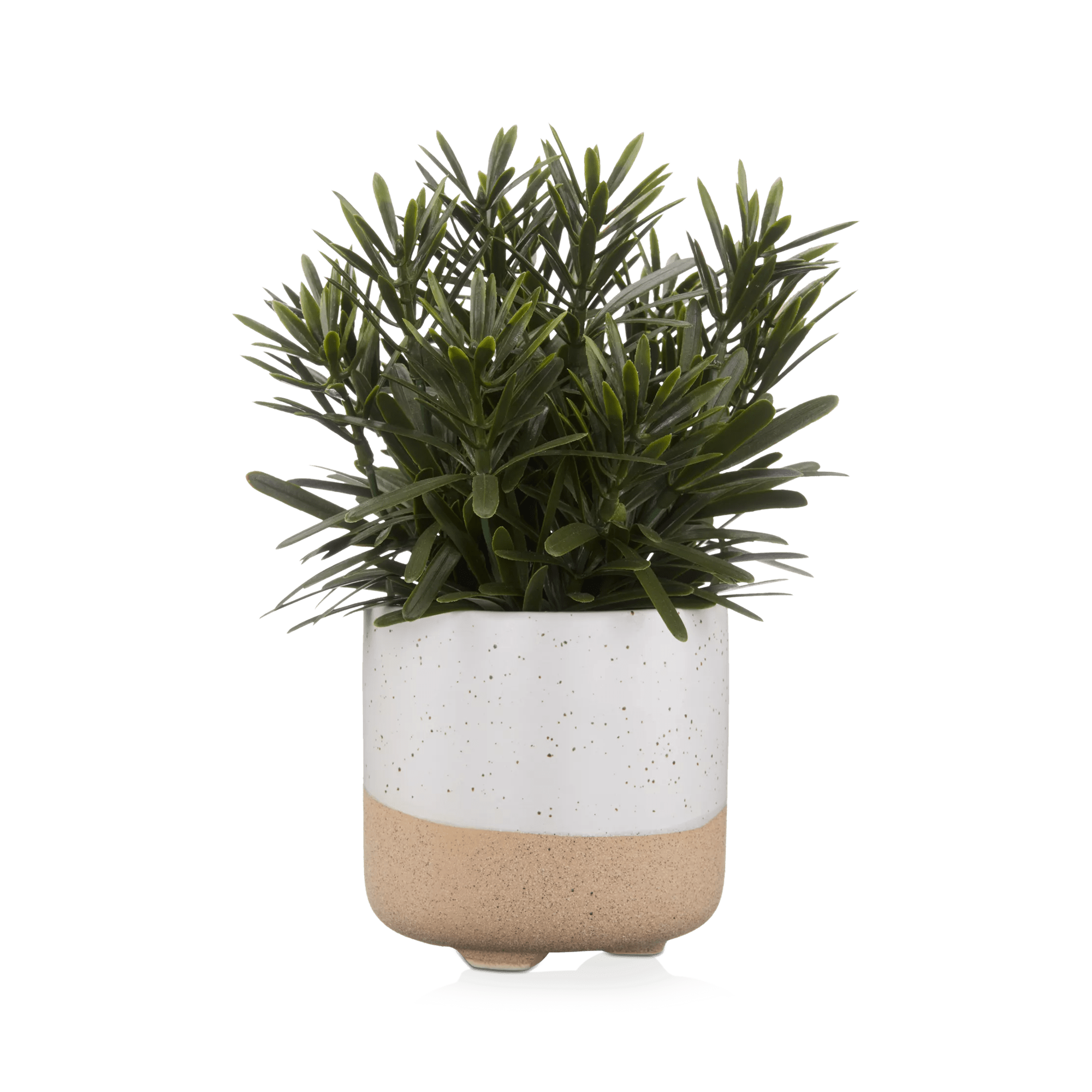 Artificial Plant in Ceramic Pot