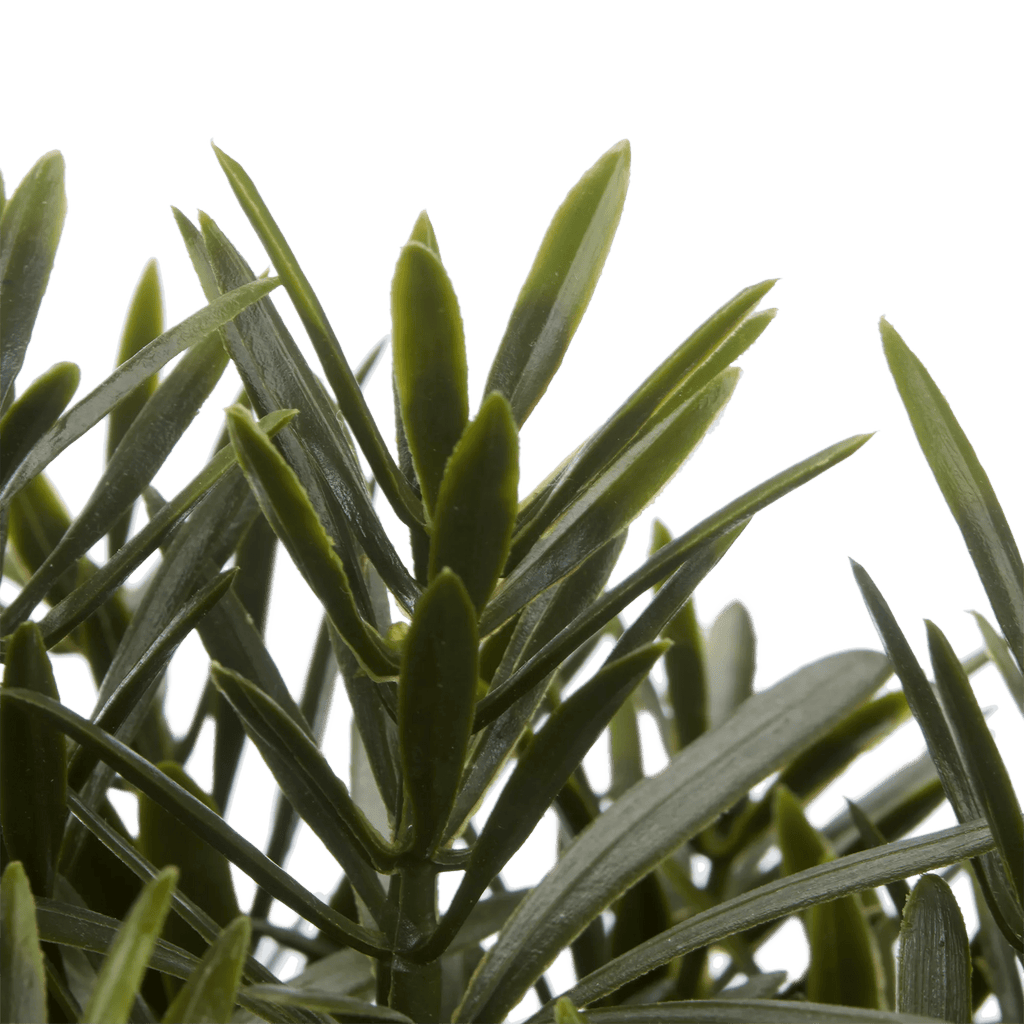 Artificial Plant in Ceramic Pot