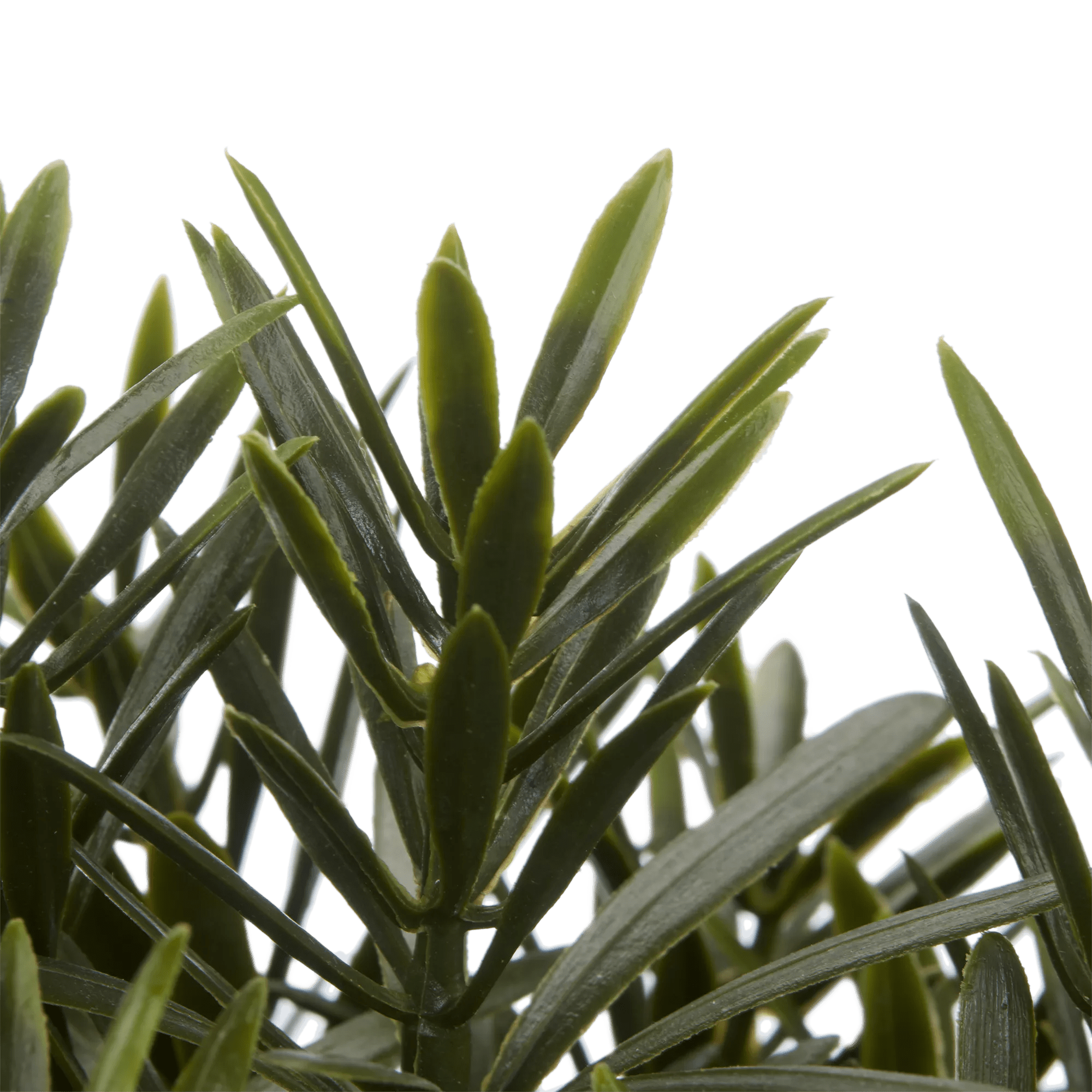 Artificial Plant in Ceramic Pot