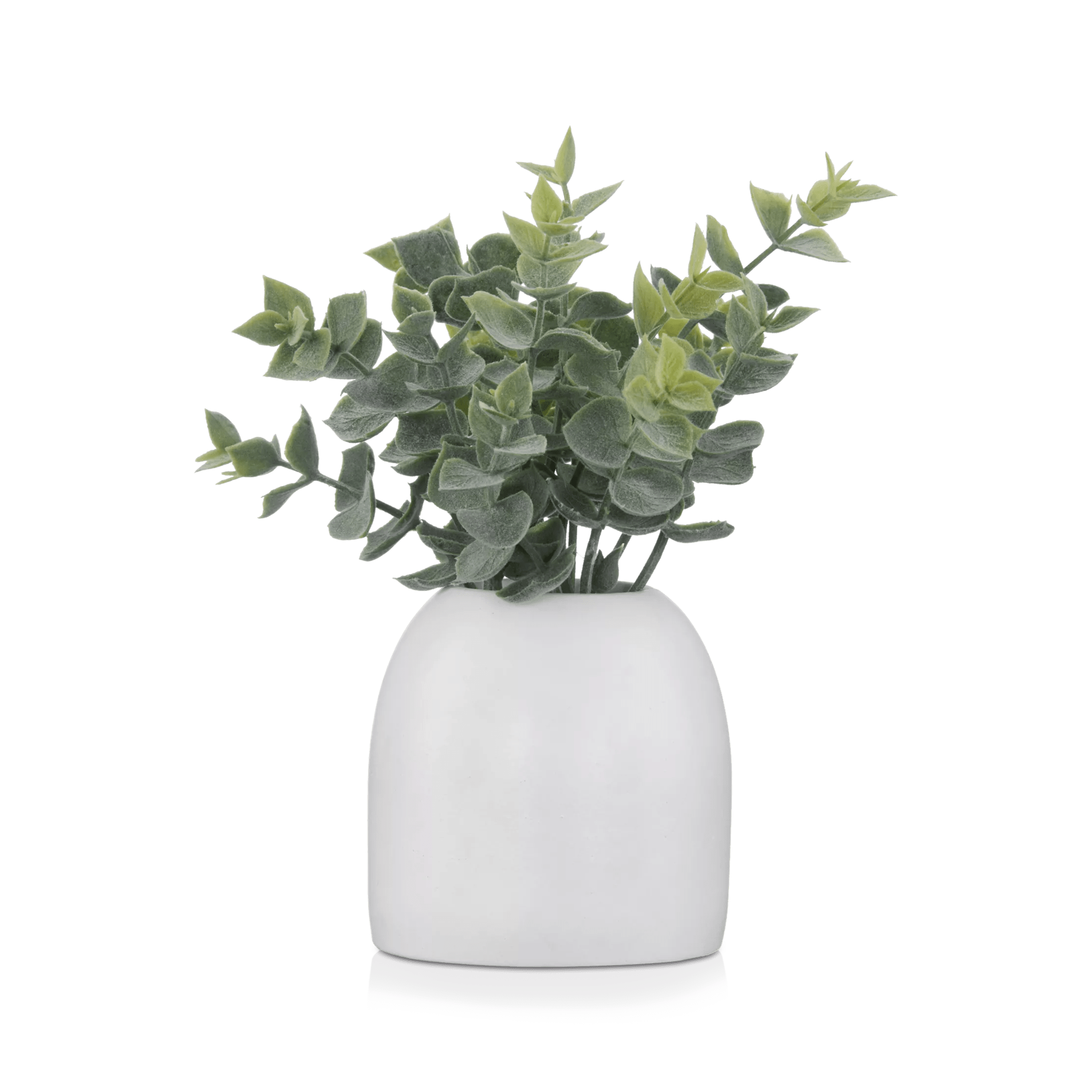 Artificial Eucalyptus in Ceramic Pot