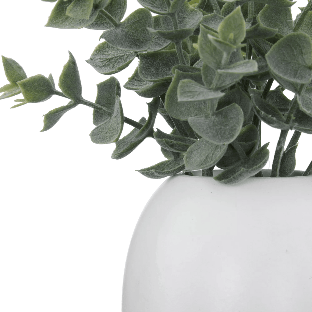 Artificial Eucalyptus in Ceramic Pot