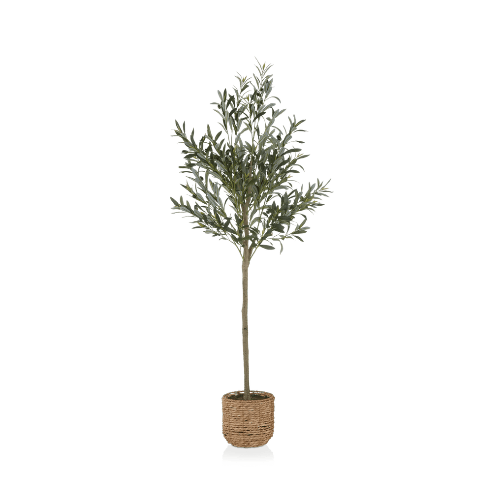 Artificial Olive Tree in Basket