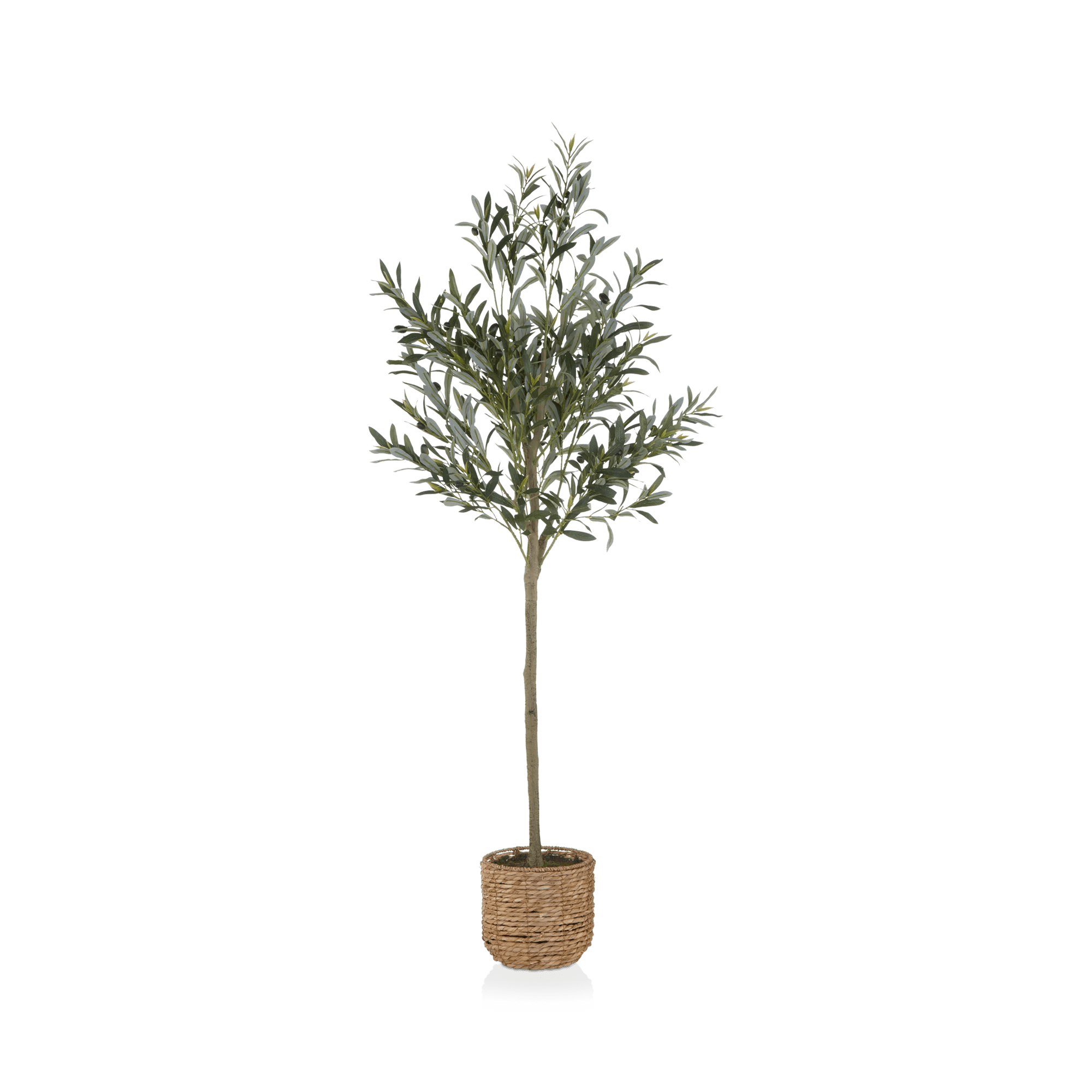 Artificial Olive Tree in Basket