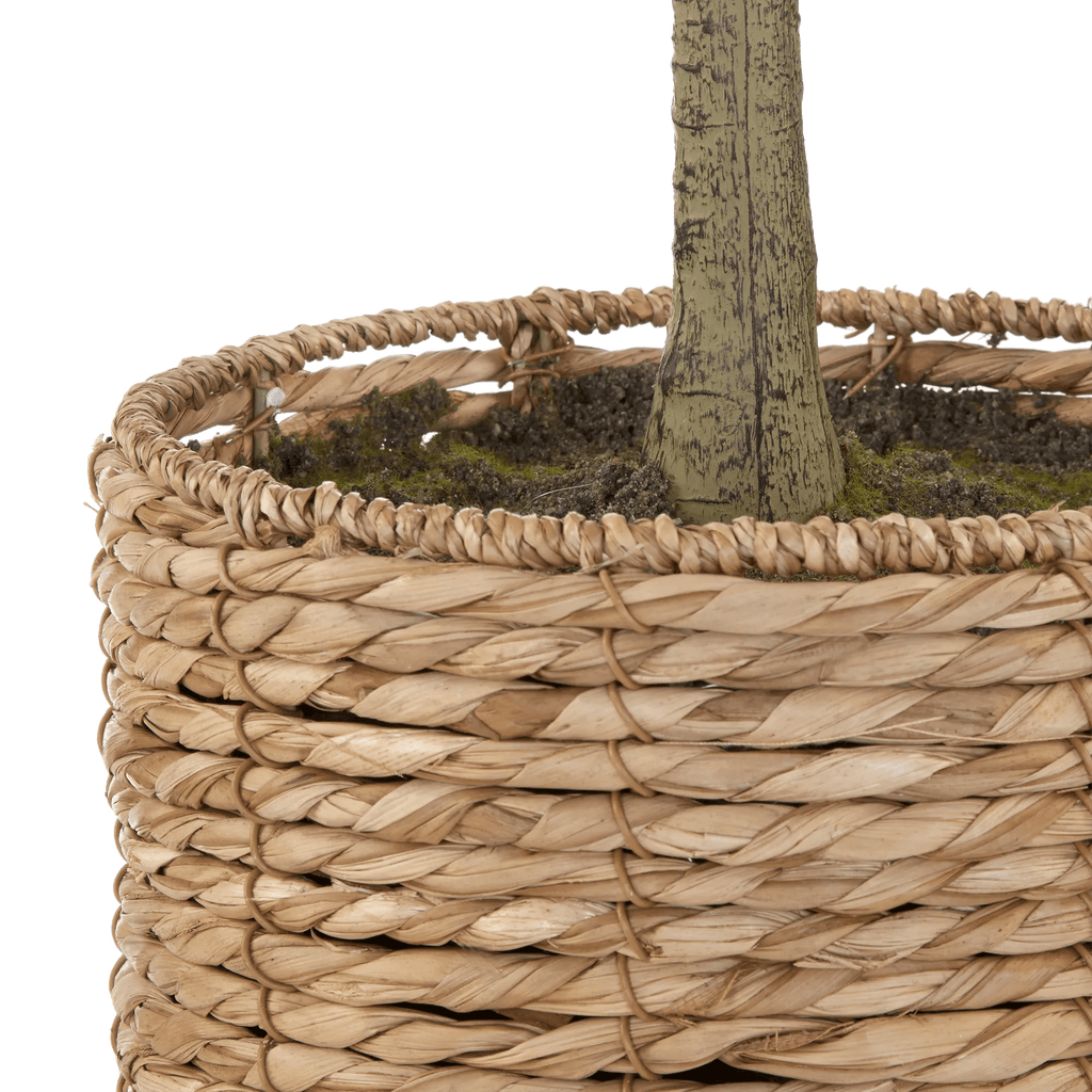 Artificial Olive Tree in Basket