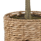 Artificial Olive Tree in Basket