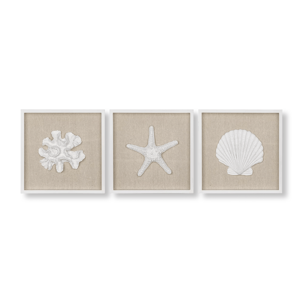 Set of 3 Seashells Framed Art
