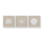Set of 3 Seashells Framed Art