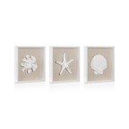 Set of 3 Seashells Framed Art