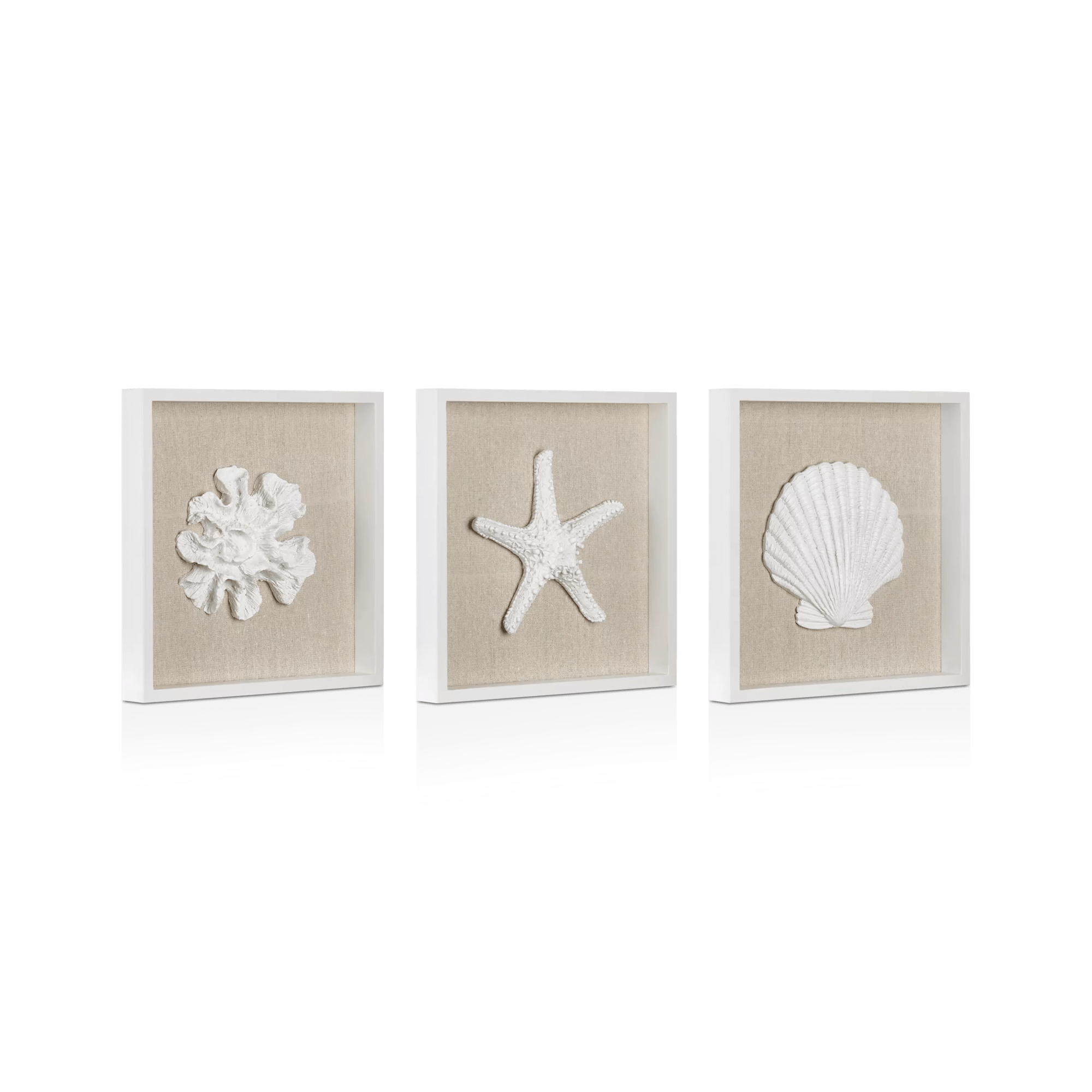Set of 3 Seashells Framed Art