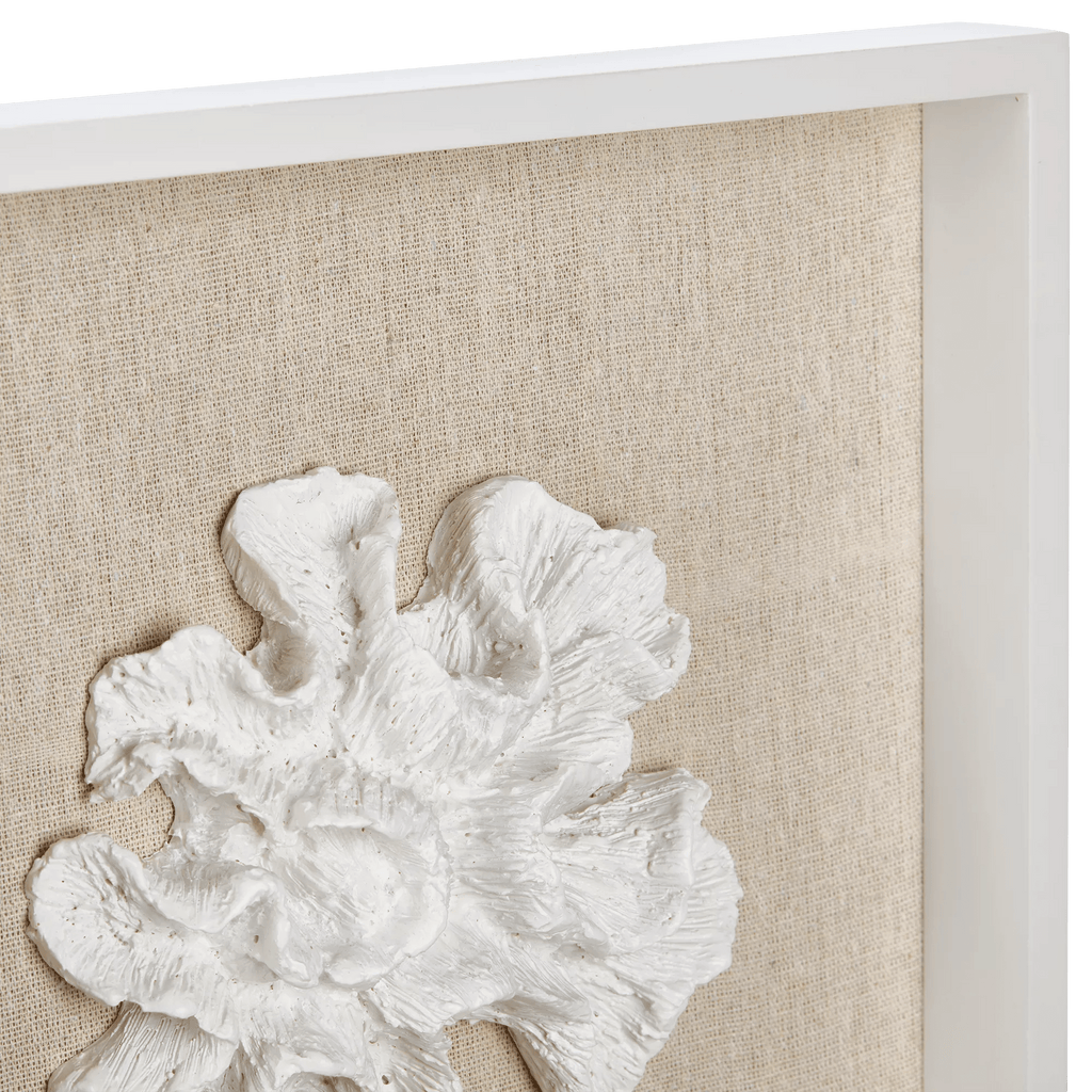 Set of 3 Seashells Framed Art