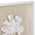 Set of 3 Seashells Framed Art