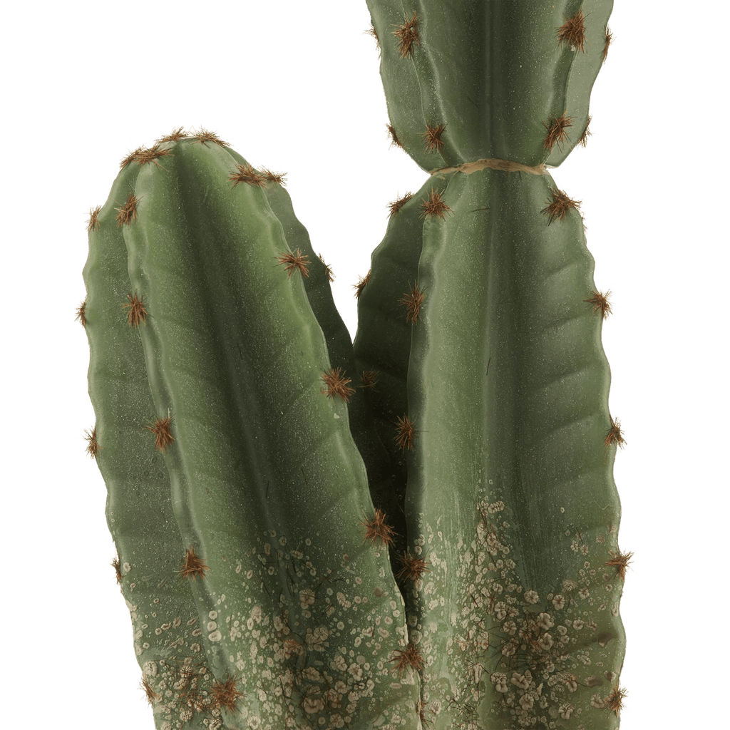 Artificial Cactus in Ceramic Pot