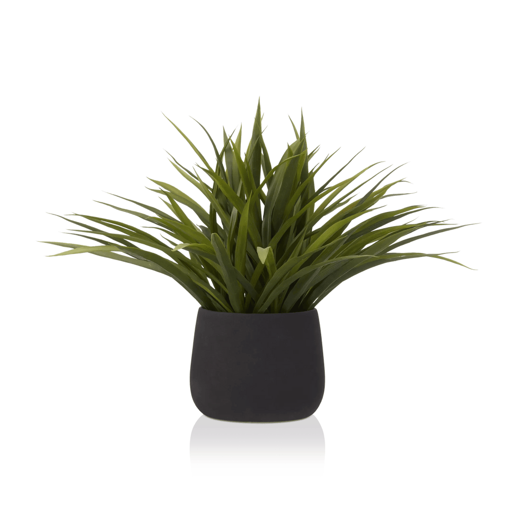 Grass in Ceramic Pot