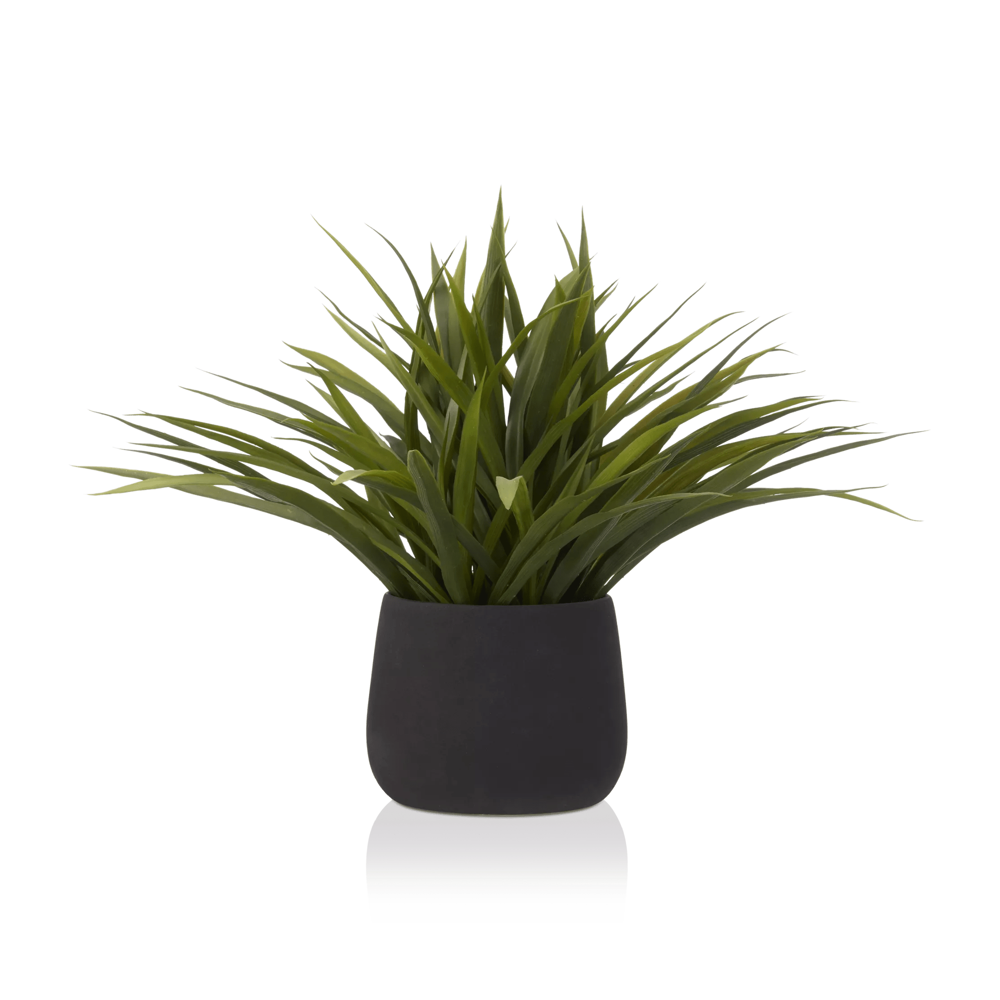 Grass in Ceramic Pot