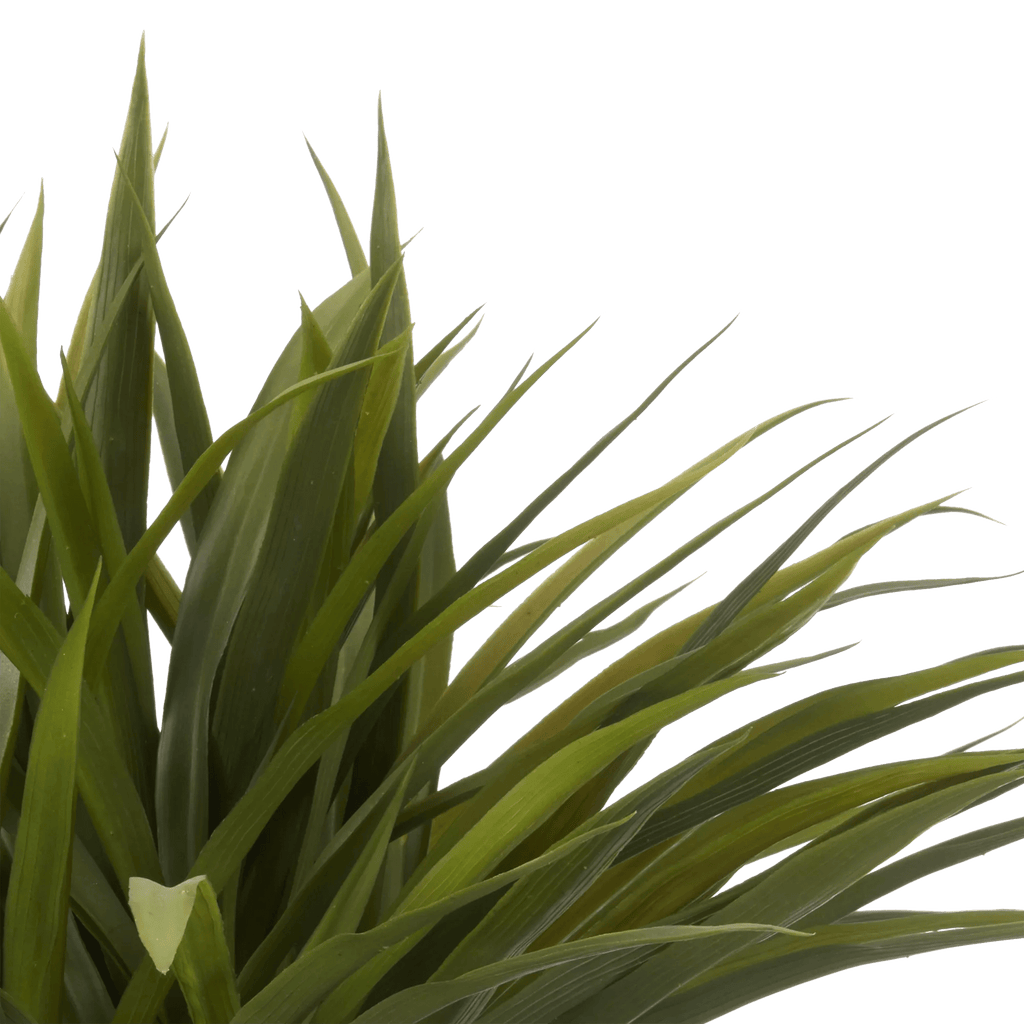 Grass in Ceramic Pot