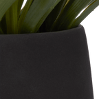 Grass in Ceramic Pot