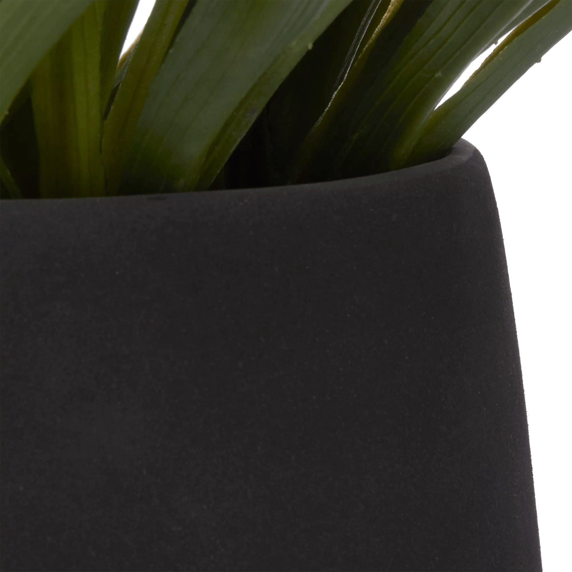 Grass in Ceramic Pot