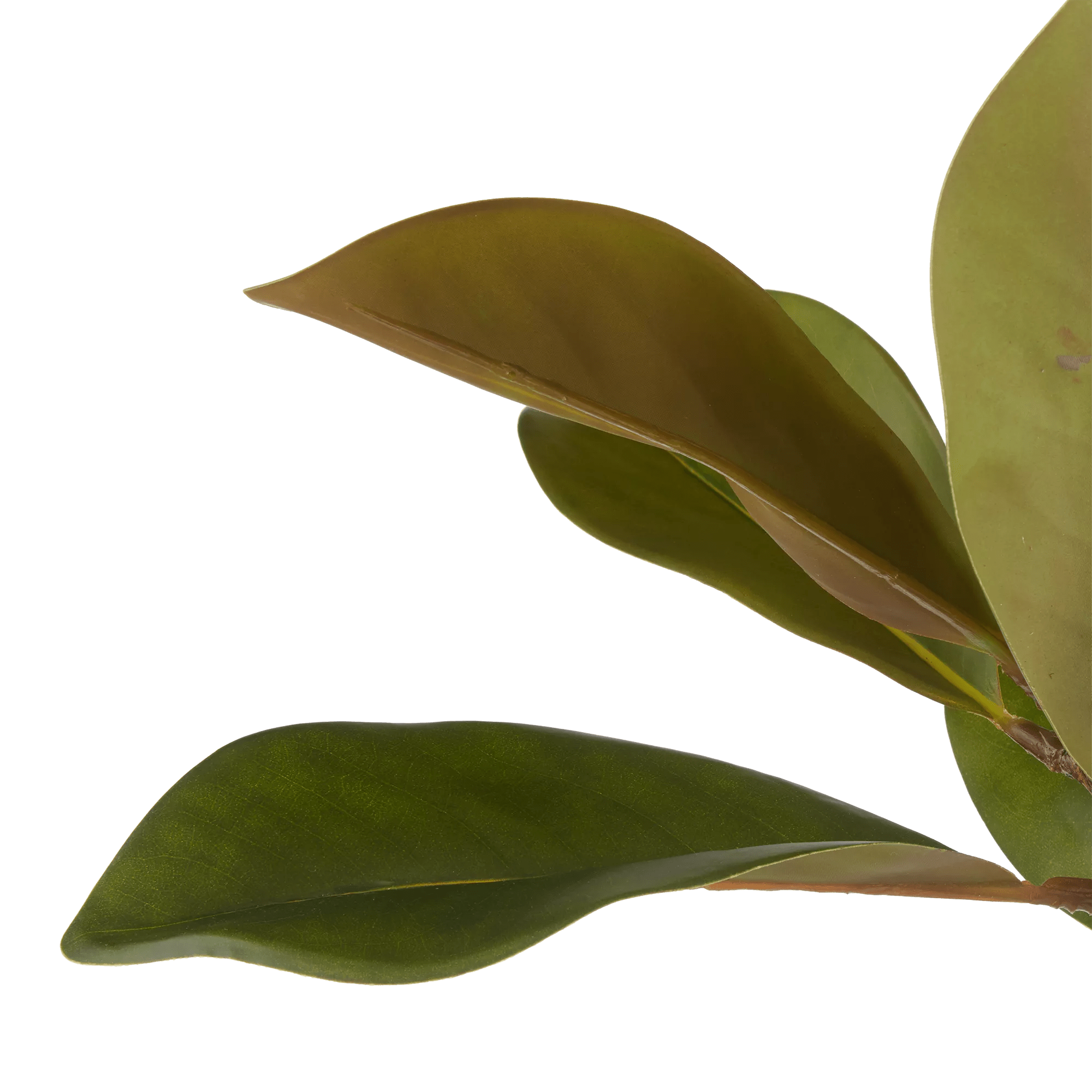 Artificial Magnolia Tree