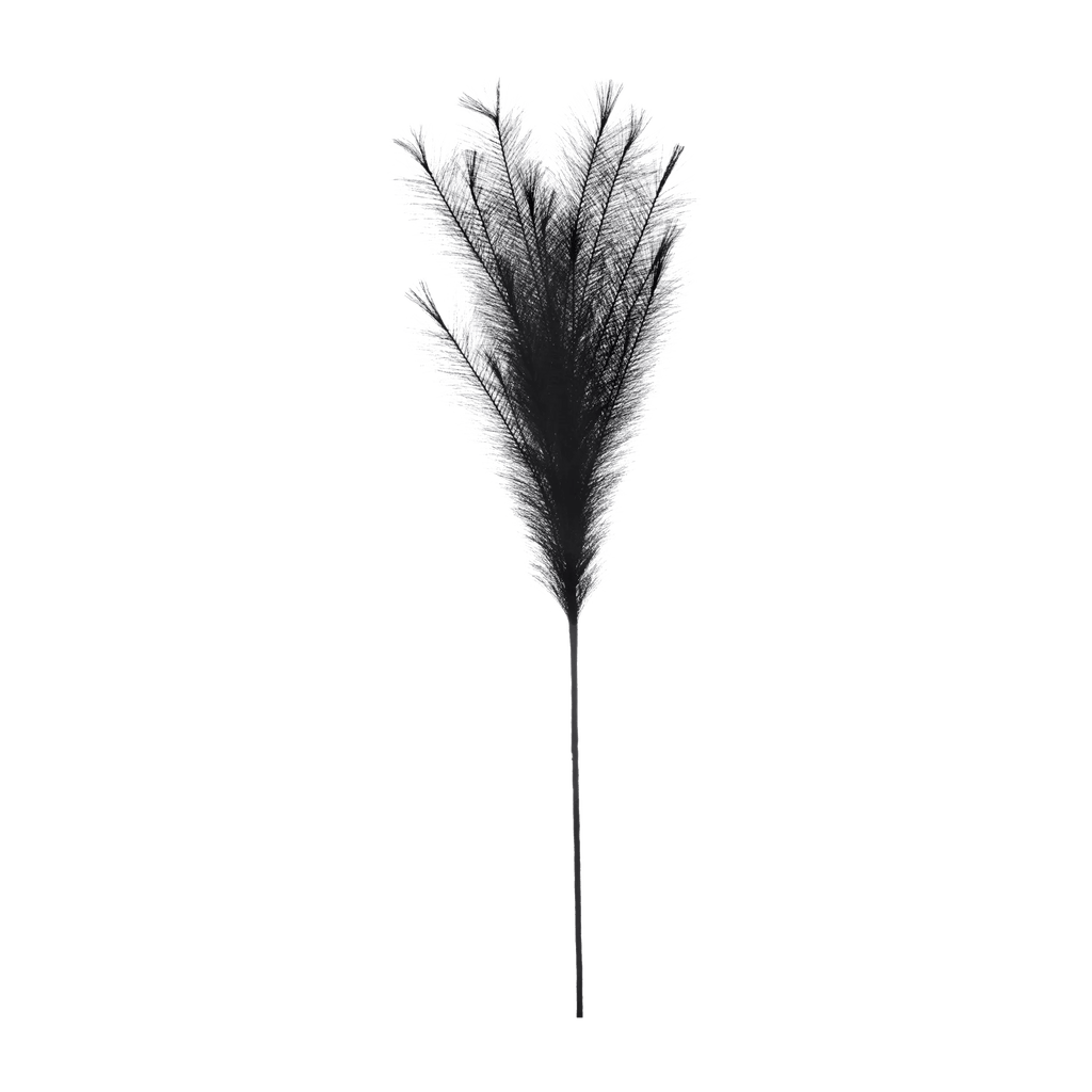 Black Pampas Stem