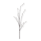 Pussy Willow Stem