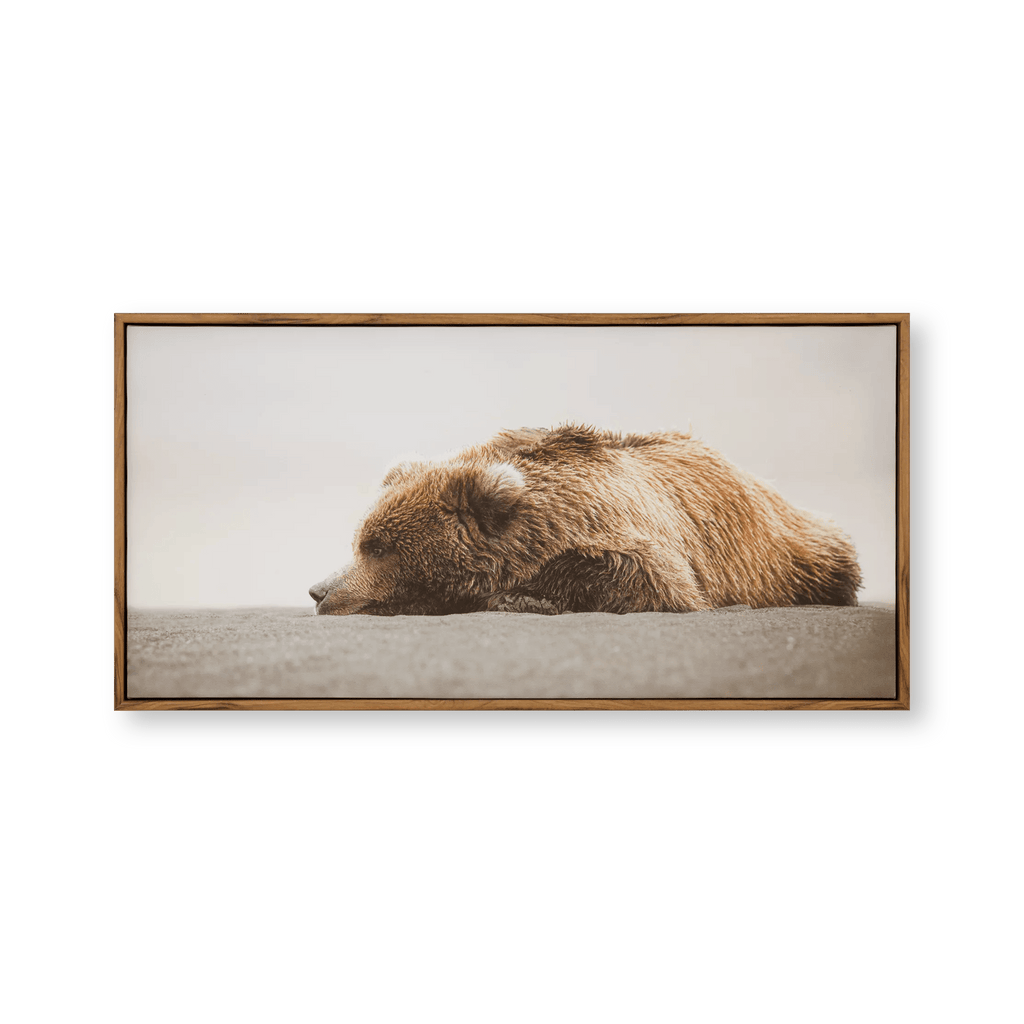 Sleeping Bear Printed Framed Canvas