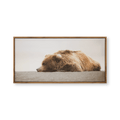 Sleeping Bear Printed Framed Canvas