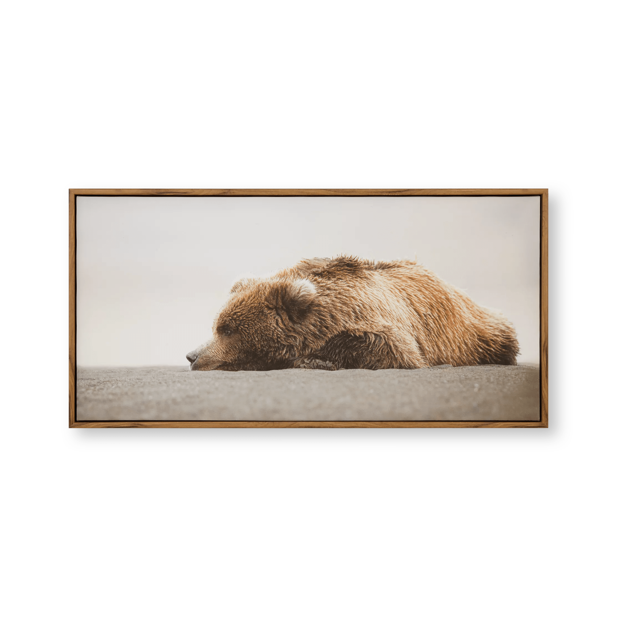 Sleeping Bear Printed Framed Canvas