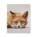 Sleeping Fox Wall Art