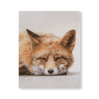 Sleeping Fox Wall Art