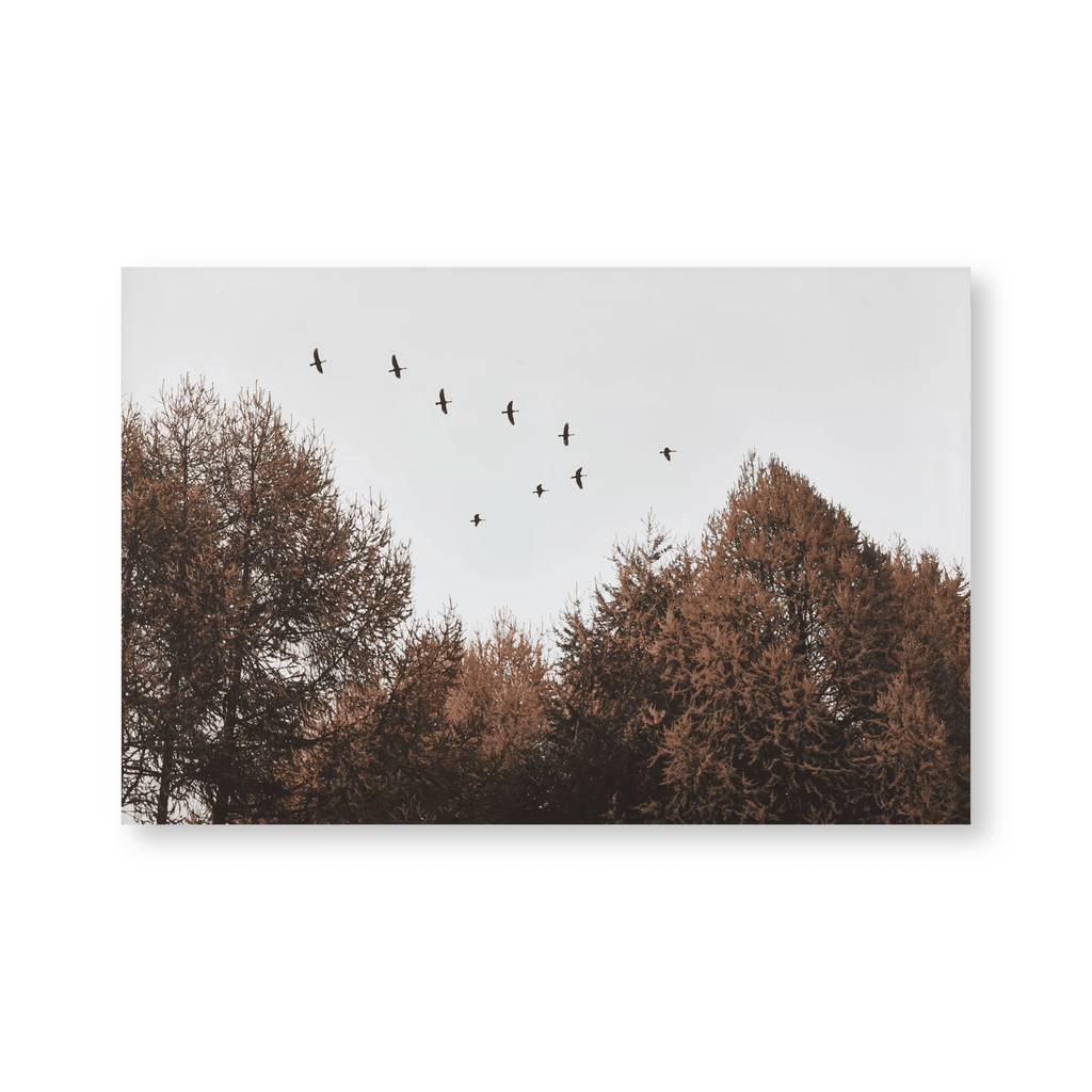 Birds over Fall Forest Printed Canvas
