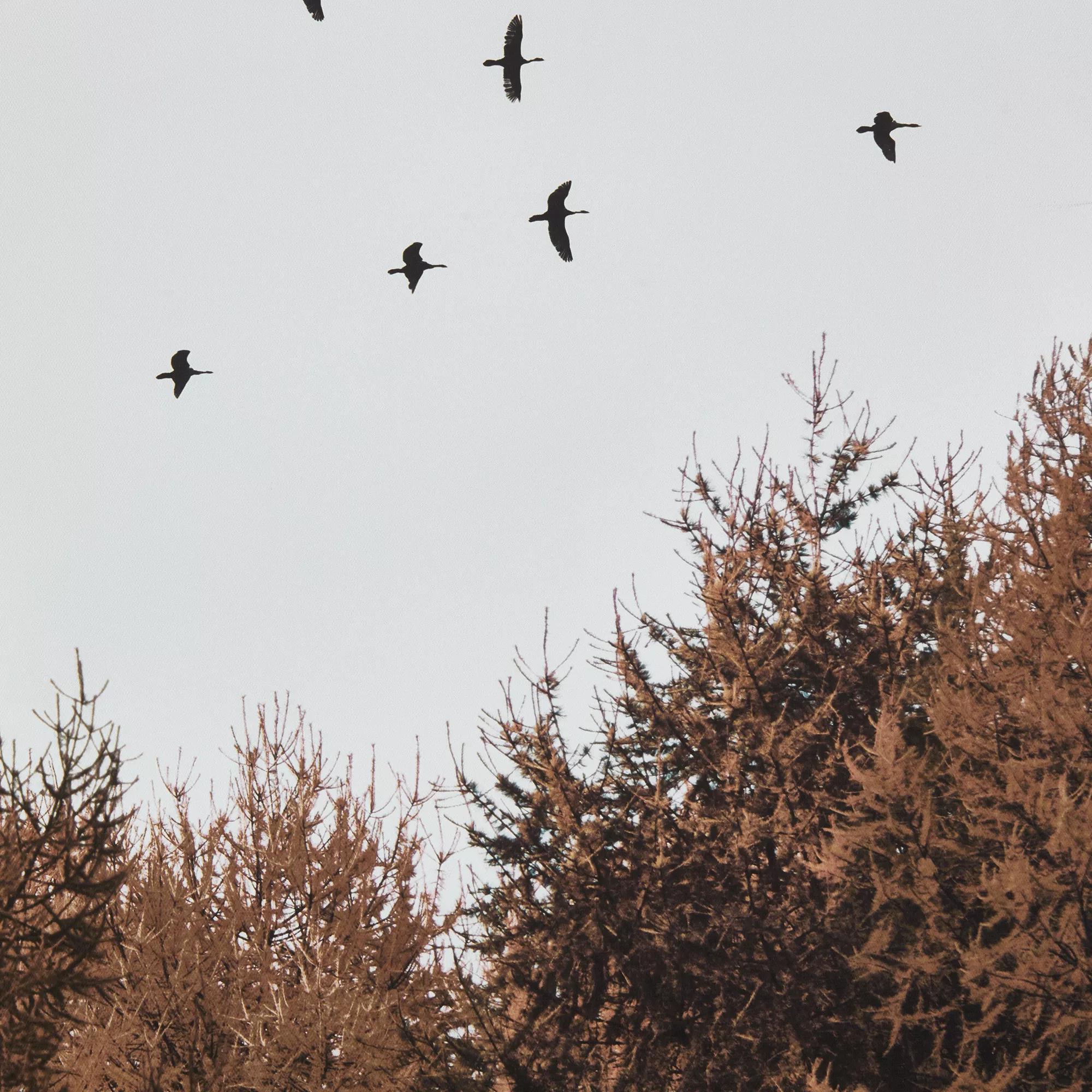 Birds over Fall Forest Printed Canvas