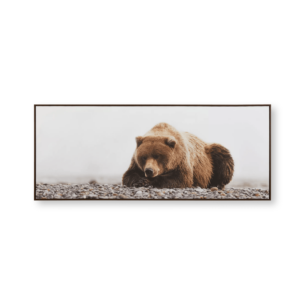 Resting Bear Framed Art