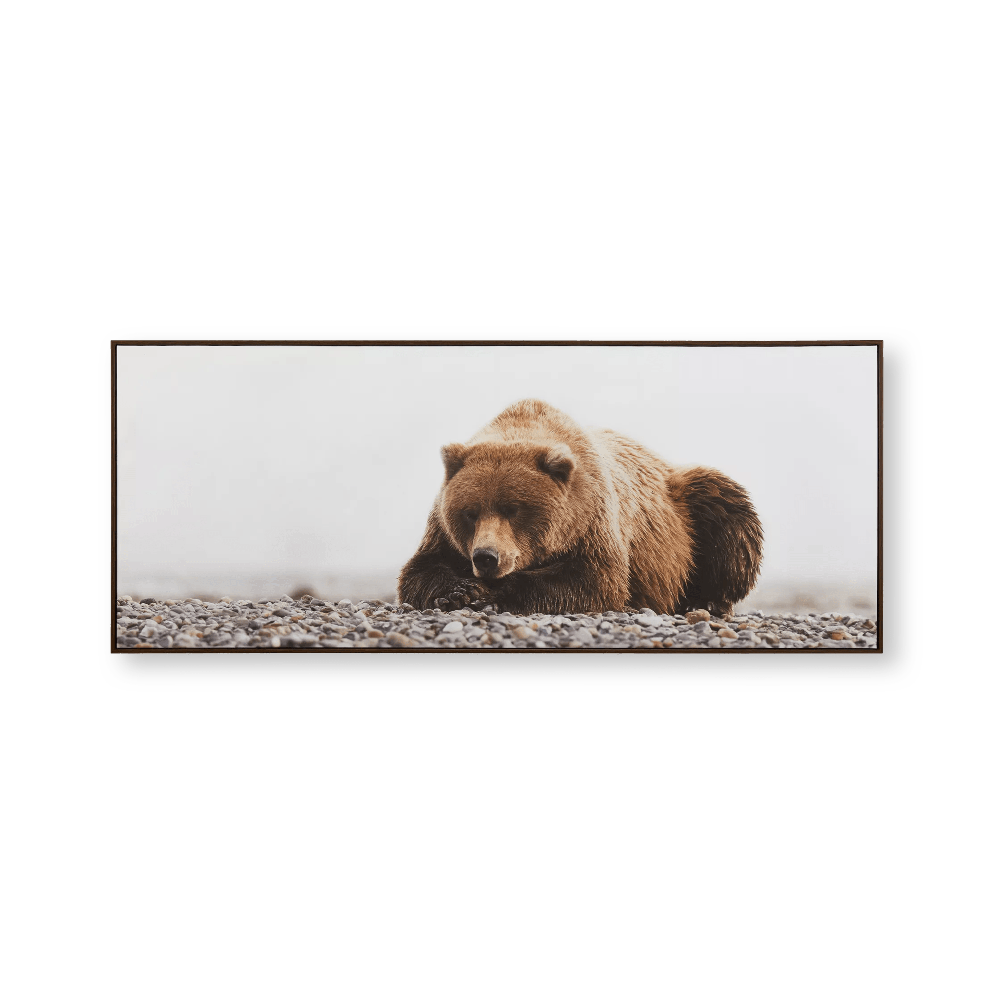 Resting Bear Framed Art