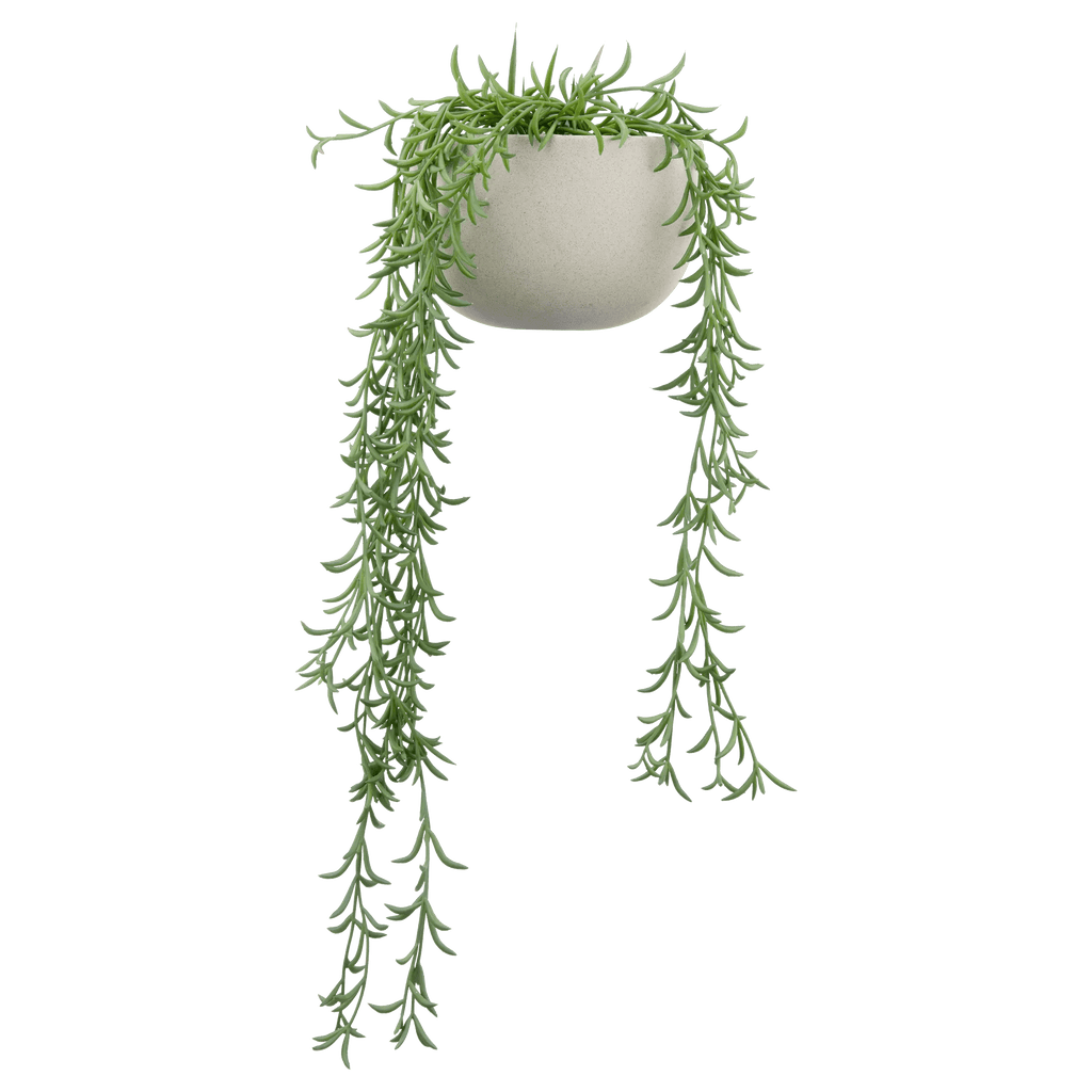 Hanging Vine in Ceramic Pot