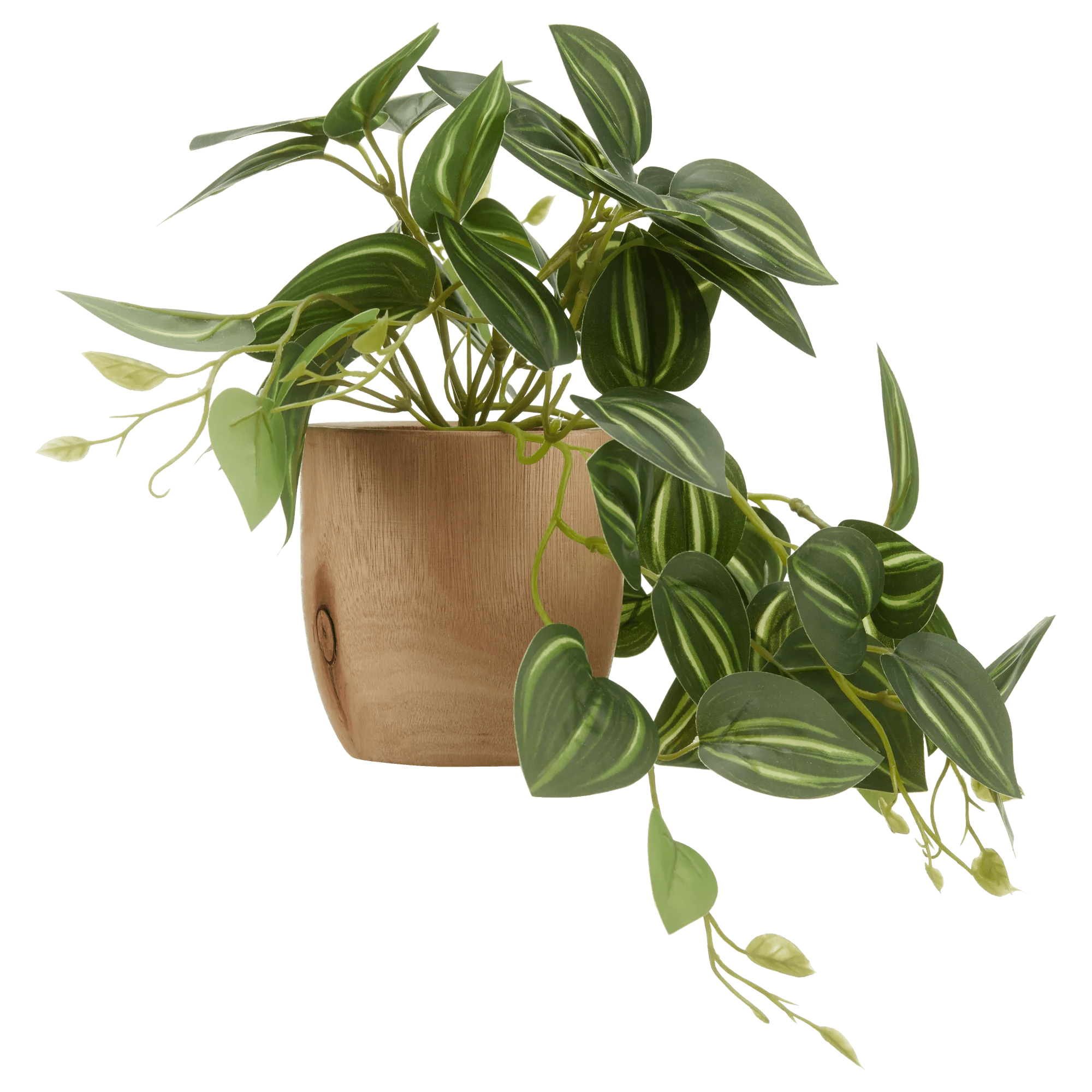 Artificial Fittonia in Wood Pot