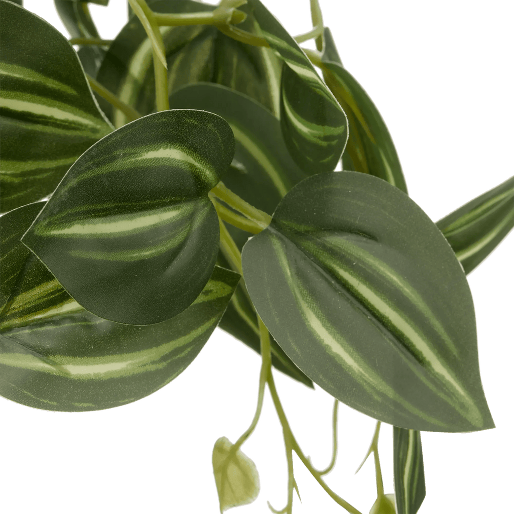 Artificial Fittonia in Wood Pot