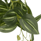 Artificial Fittonia in Wood Pot