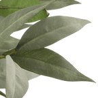 Aritificial Eucalyptus Plant in Ceramic Pot