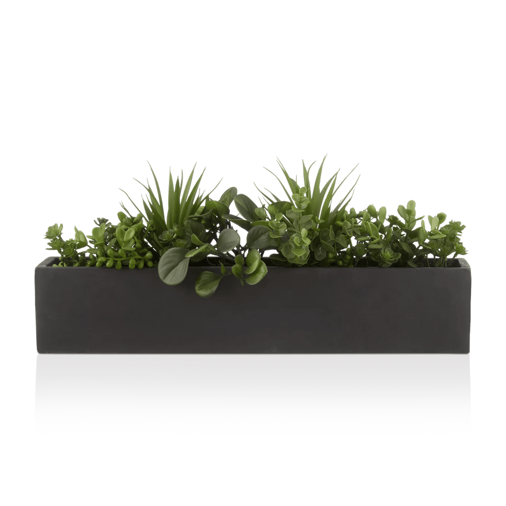 Succulents in Ceramic Pot