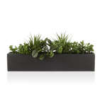 Succulents in Ceramic Pot