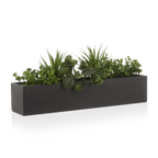 Succulents in Ceramic Pot