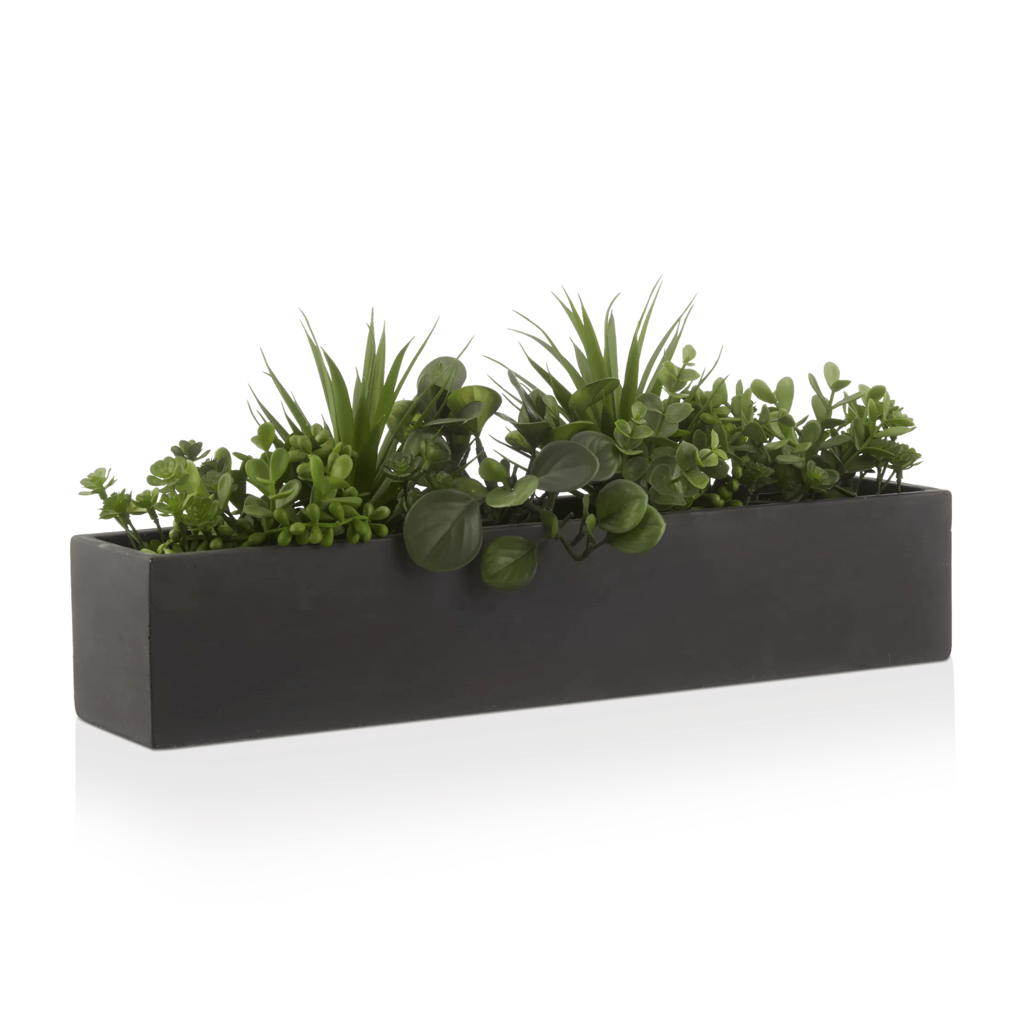 Succulents in Ceramic Pot