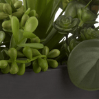 Succulents in Ceramic Pot