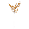 Yellow Eucalyptus Stem