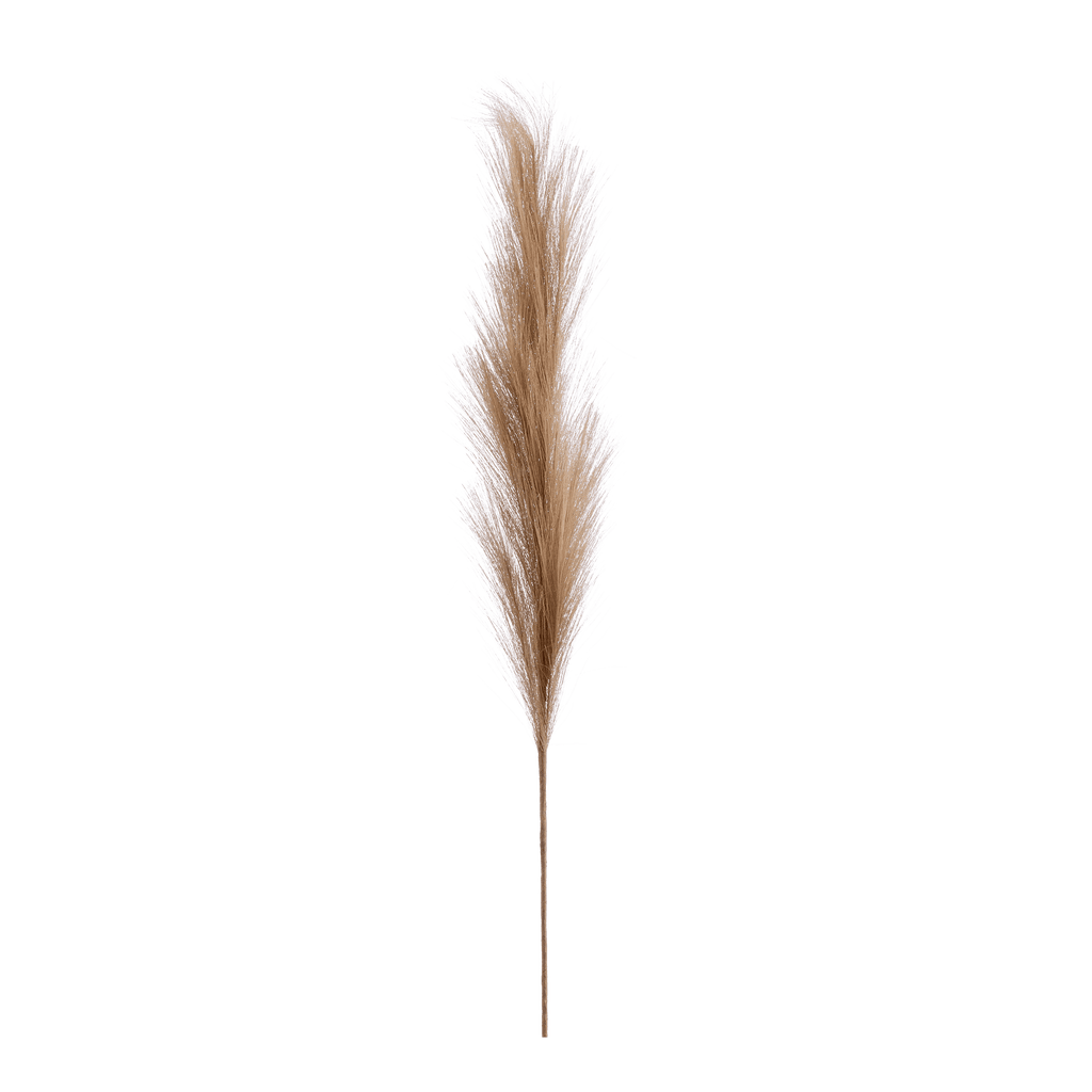 Pampas Stem