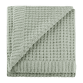 Sage Cory Chenille Throw