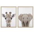 Set of 2 Animals Framed Canvases